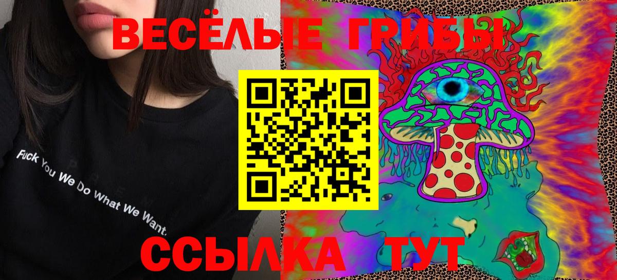 Псилоцибиновые грибы Psilocybe  Вход с VPN  Люберцы  Псилоцибиновые грибы Psilocybine cubensis 